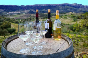 thuis wijnproeverij 'Spanje' - 4 tot 8 personen